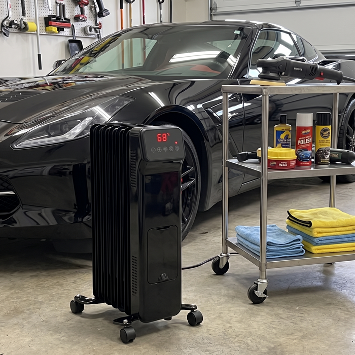 Detailing my Corvette in January. Water didn't freeze on the panels for once.
